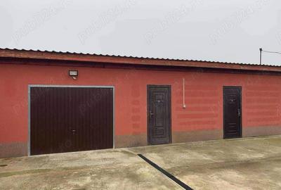 Casa de vanzare in Hodoni jud Timis Casa de vanzare in Hodoni jud Timis - 7