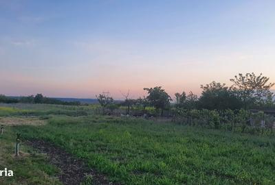 Teren de 3000 mp, în Dorobanțu - 3