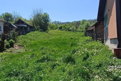 Teren de 1000 mp, în Păușești - 8