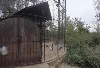 Domeniu  in Prahova- probabil una dintre cele mai frumoase reședințe - 36