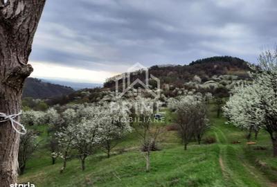 Teren de 13700 mp, în Vințu de Jos - 2