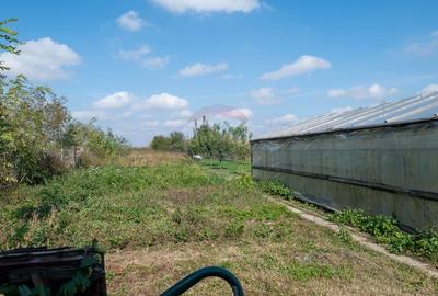 Casă individuală cu 5 camere cu Teren 1063 Mp în Ungureni (Corbii Mari) - 19