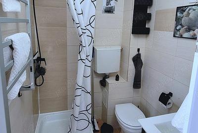 PROPRIETAR ,Vand Grasoniera zona ,Buziasului. - 9