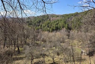 Teren de 4001 mp, în Căpățânenii Ungureni - 2