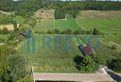 Teren intravilan de vanzare, Sat Bogdan?ti, Com. Traian - 4