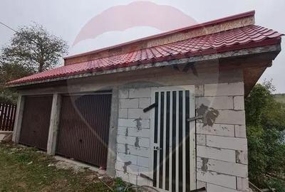 Casă cu 6 camere cu Teren 3141 Mp în Ploștina - 15