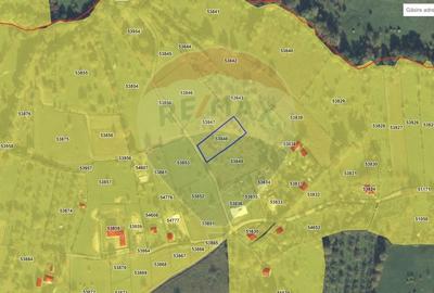 Teren zona superba Sisesti Teren zona superba Sisesti - 6