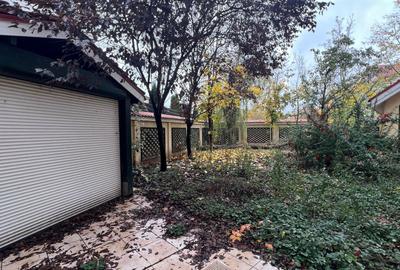 Vila cu teren 652 mp | Romatsa - 11