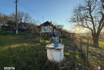 Casă cu 2 camere cu Teren 3200 Mp în Borșa - 4