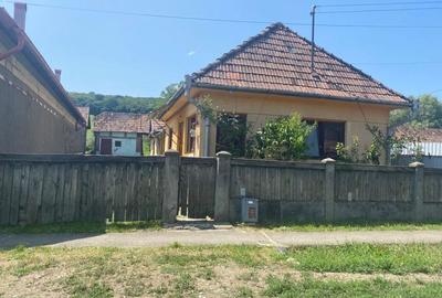 Apartament cu 4 camere în Tirimioara - 7