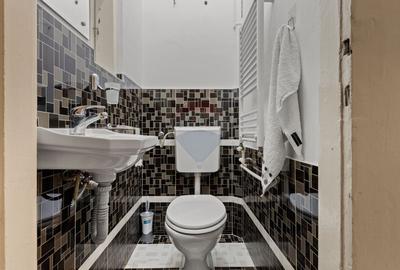 Apartament cu 3 camere semidecomandat, mobilat în Boul Roșu - 13