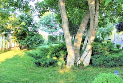 Teren de 800 mp, în Central - 14