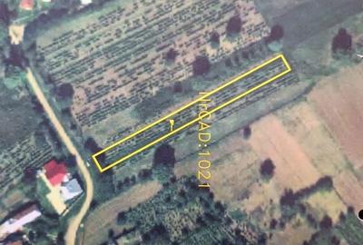 Teren de 1000 mp, în Exterior Vest - 3