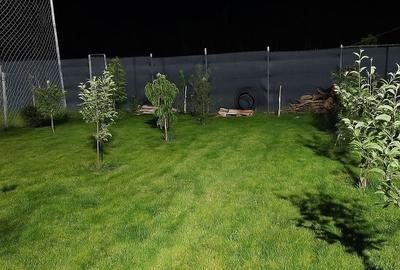 Casă P+1+pod  și curte 908 mp - DIRECT PROPRIETAR, Dealul Verde - 4