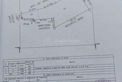 Teren extravilan 10000 mp, com Panatau - 8