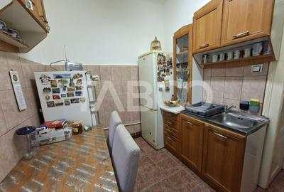 Apartament spatios de vanzare cu 3 camere la etajul 1 in Orasul de Jos - 14