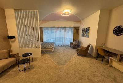 Apartament cu 1 camere, mobilat în Drumul Poienii - 6