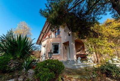 0%  COMISION! Casa individuala, garaj, 950 mp de teren, Borhanci - 25