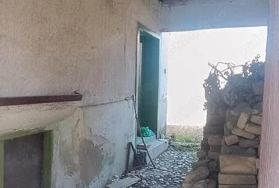 Casă cu Teren 1200 Mp în Ticvaniu Mic - 1