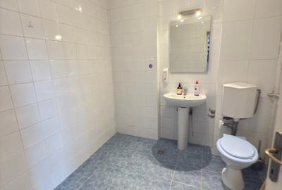 Mosilor - Foisorul de Foc / Vila spațioasă de închiriat – 9 camere / 330 MP - 17