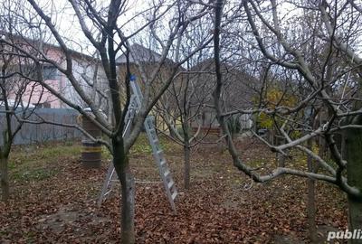 Teren de 370 mp, în Central - 2