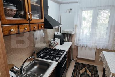 Apartament de inchiriat, cu 3 camere, lux, zona Podu Ros - 9