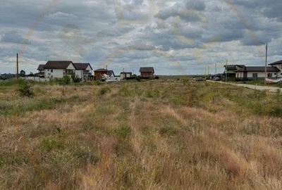 Teren 10.000 mp - Str. Octavian Goga, Craiovei! - 4