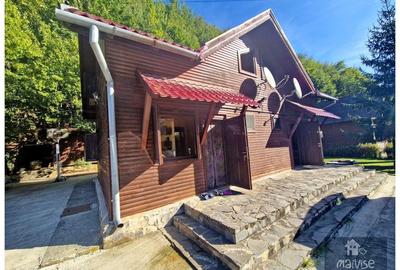 Casa de vacanta!!! Valea Bozom- Apata - 21