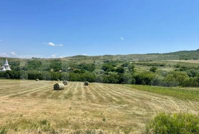 Teren de 2431 mp, în Chinteni - 3