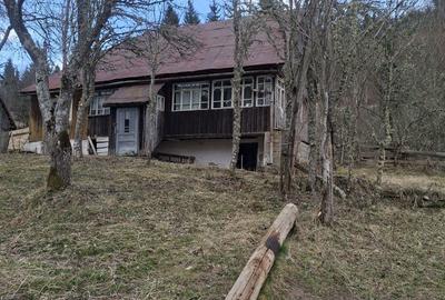 Casă cu 3 camere în Vale - 3