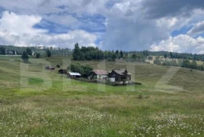 Teren ideal pentru investi?ie, ?aru Dornei, 36.000 mp - 4