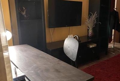 Apartament cu 2 camere semidecomandat, mobilat în 1 Mai - 6