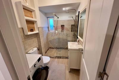 Apartament cu 3 camere decomandat, mobilat în Tineretului - 5