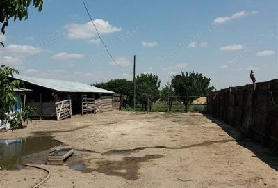 Casă cu 2 camere în Băilești - 1