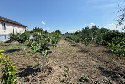 Teren de 880 mp, în Exterior Vest - 1