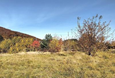 Teren Construcții intravilan de 660 mp, în Bunloc - 6