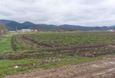 Teren  constructii rezidentiale, Cristian, strada Nisipului - 3