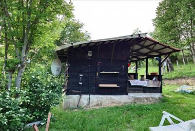 Casa cu teren si padure la tara - 3