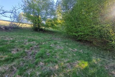 Teren intravilan de 33210 mp, în Șinteu - 7