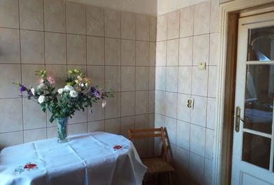 Apartament in vila parcul Carol - 4