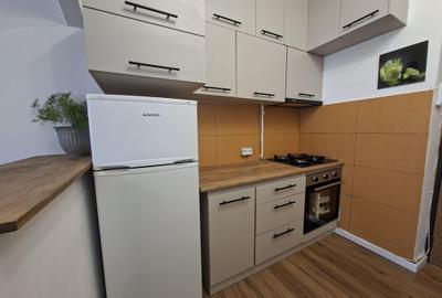 Garsonieră nedecomandată în Lotrioara - 5