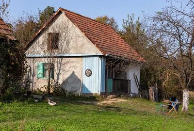 Investi?ie in natura > 2 case restaurate cu poten?ial de inchiriere si teren de 20.000 mp Investi?ie in natura > 2 case restaurate cu poten?ial de inchiriere si teren de 20.000 mp - 6