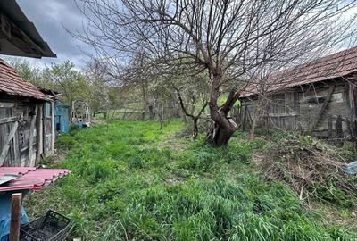 Casă cu 3 camere în Cozma - 12