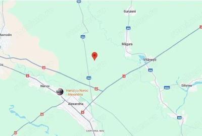 Teren extravilan cota parte 1/2 Alexandria, ID: R2814838 - 4