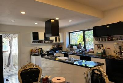 Proprietar vila spatioasa cu 7 dormitoare mobilata si utilata - 15