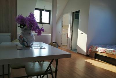 Metrou,garsoniera dubla,45m ,luminoasa,linistita,aer conditionat - 5