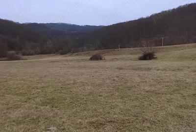 Casă cu 2 camere în Central - 5