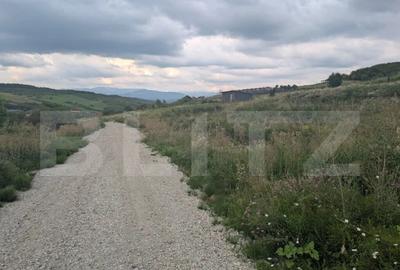 Teren construibil de vanzare, 500 mp sau 1000 mp, Dealu Jel - 8