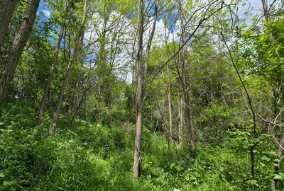 Vand Teren Arefu, Arges zona Cetatea Poenari (Vlad Tepes), Transfagarasan - 7