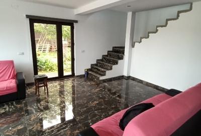 Casă individuală cu 2 camere cu Teren 500 Mp în Mlenăuți - 1